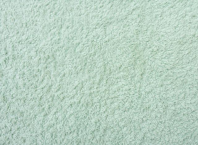 Read more about the article Cleaning Your Carpets For The First Time? Read This First!