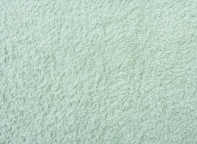 Read more about the article Carpet Cleaning: What You Need To Know