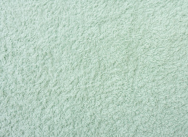 Read more about the article Keep It Clean: Carpet Cleaning Tips And Tricks